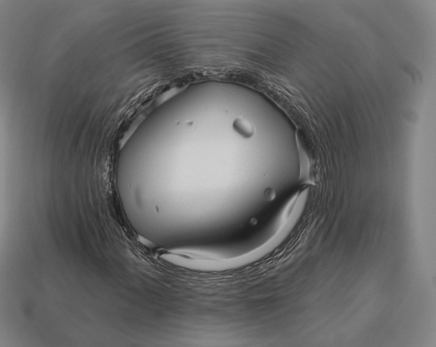 X0000113121060200909251108
