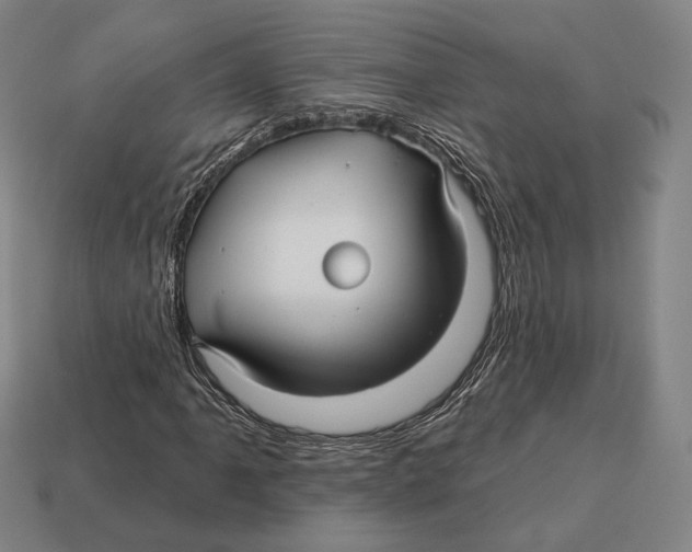X0000113121061200909251108