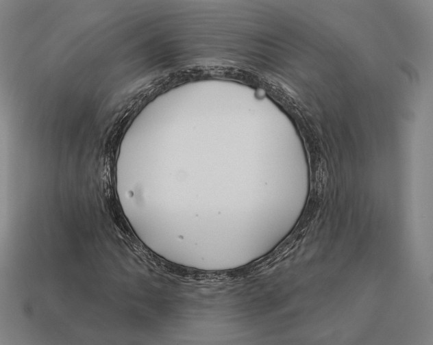 X0000113121062200909251108