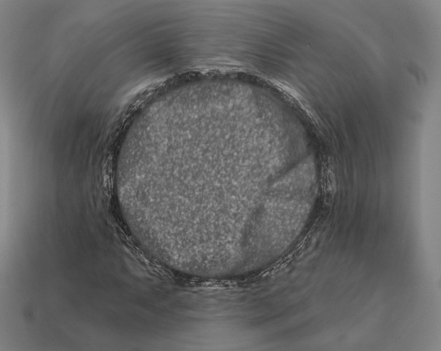 X0000113121063200909251108