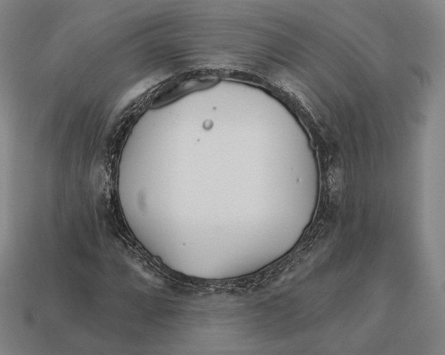 X0000113121064200909251108