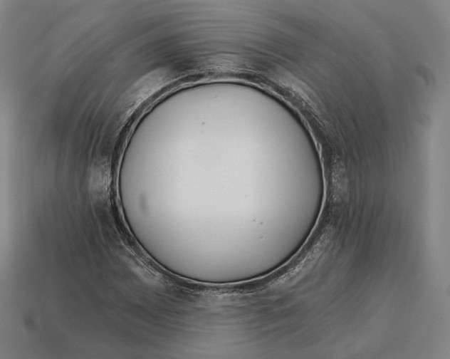 X0000113121065200909251108