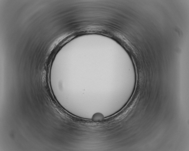 X0000113121066200909251108