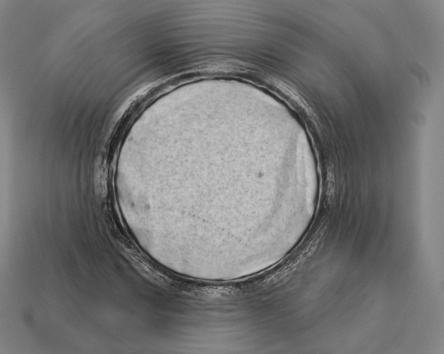 X0000113121067200909251108