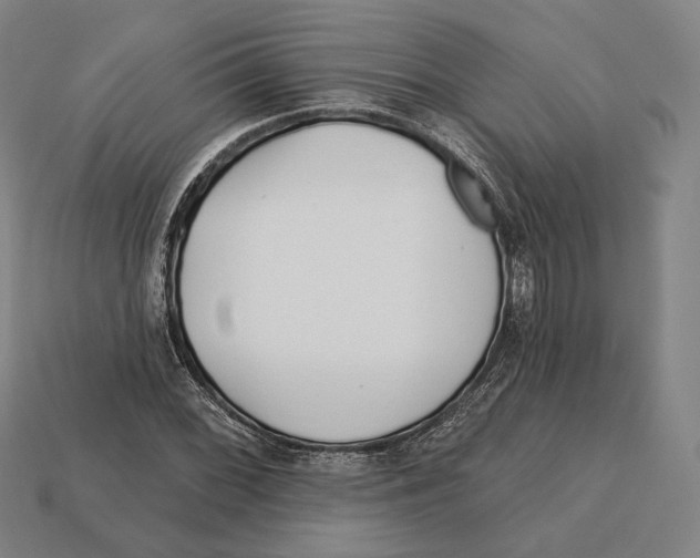 X0000113121068200909251108