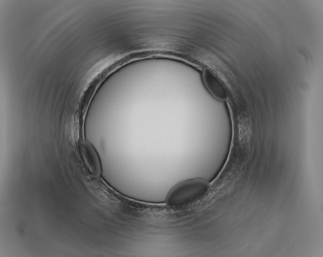 X0000113121069200909251108