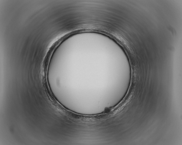 X0000113121070200909251108