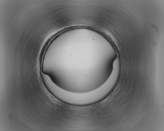 X0000113121072200909251108