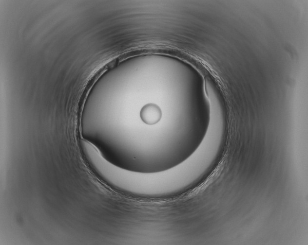 X0000113121073200909251108