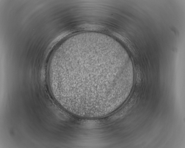 X0000113121074200909251108