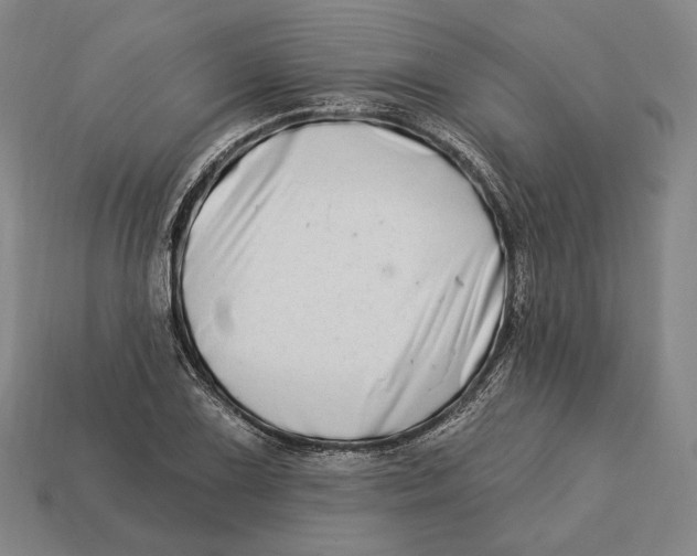 X0000113121075200909251108