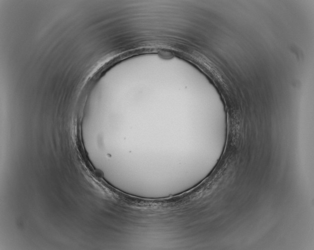 X0000113121076200909251108