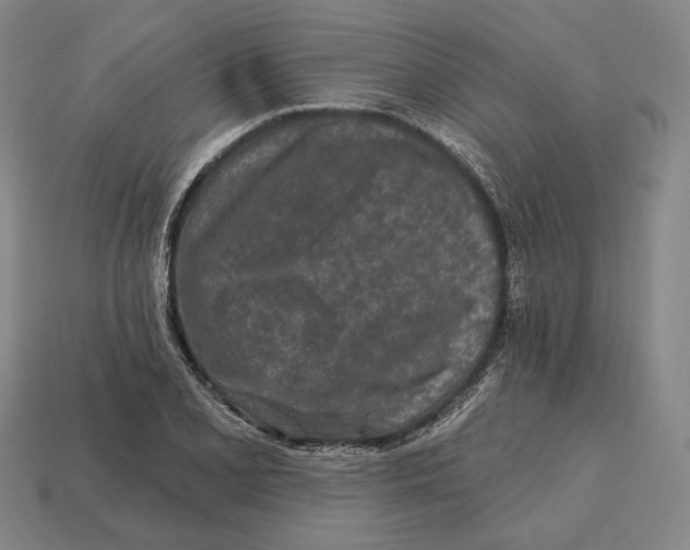 X0000113121077200909251108