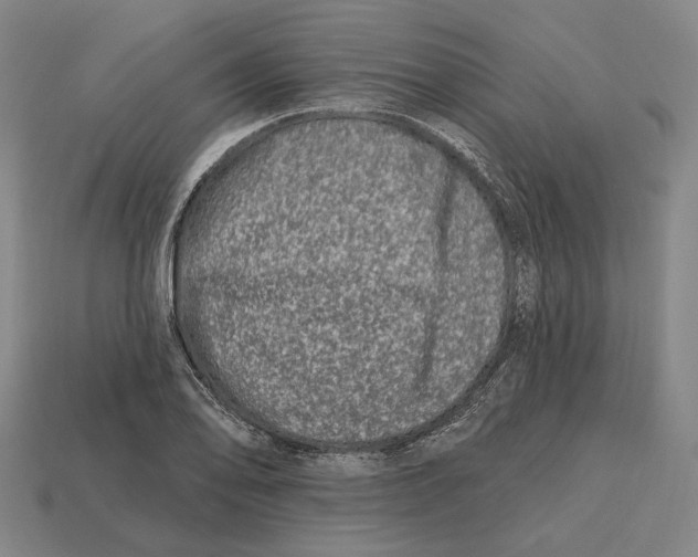 X0000113121078200909251108