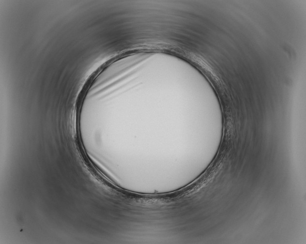 X0000113121079200909251108
