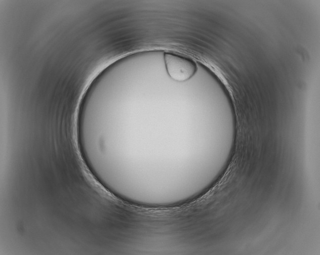 X0000113121080200909251108