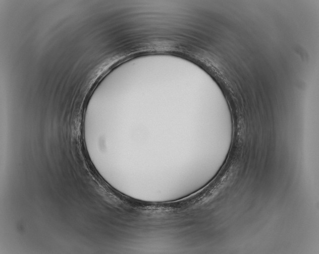 X0000113121081200909251108