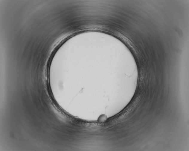 X0000113121082200909251108