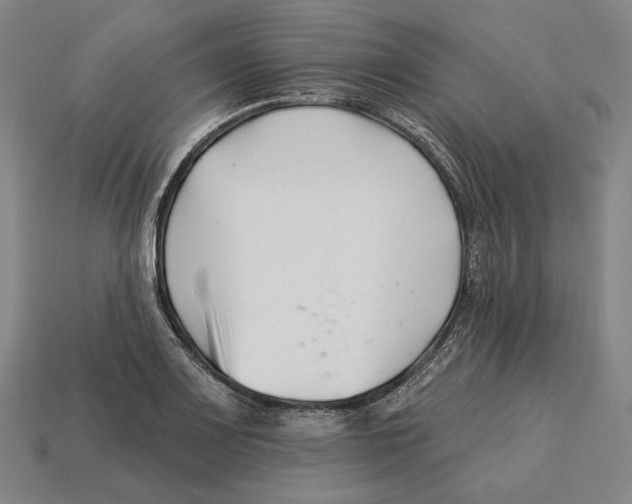 X0000113121083200909251108