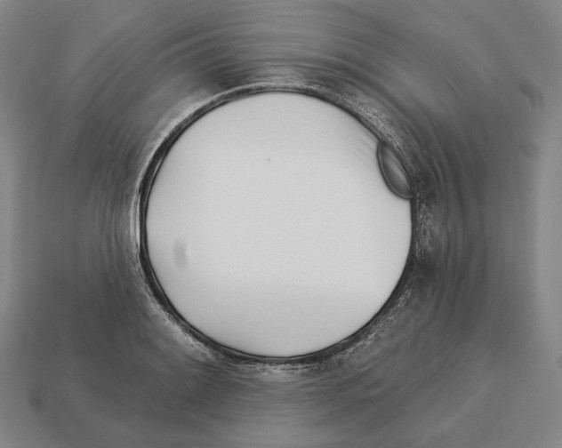 X0000113121084200909251108