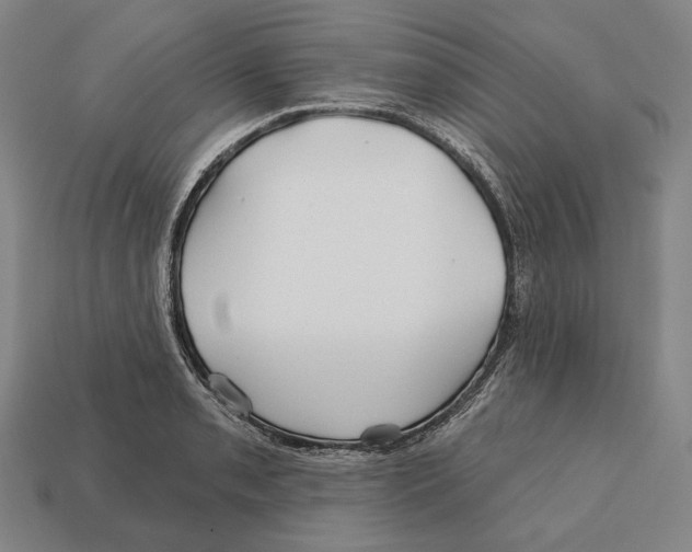 X0000113121085200909251108