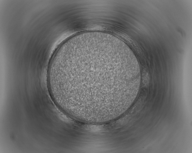 X0000113121086200909251107
