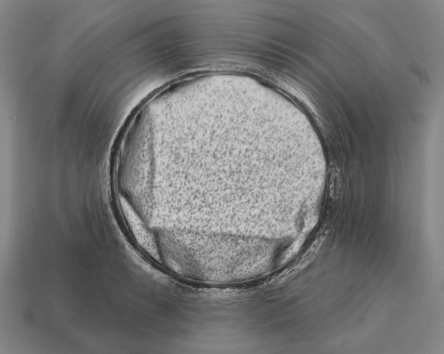 X0000113121087200909251107