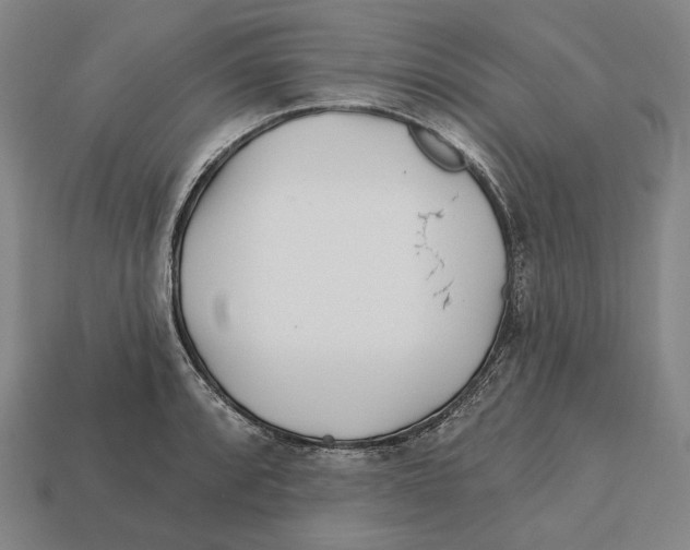 X0000113121088200909251107