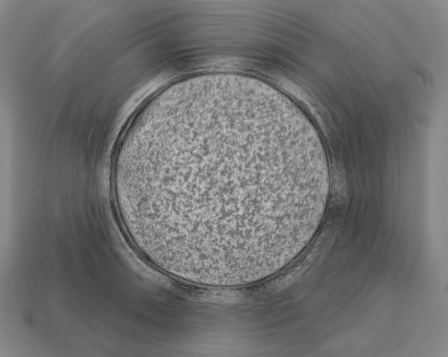 X0000113121090200909251107