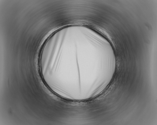 X0000113121091200909251107