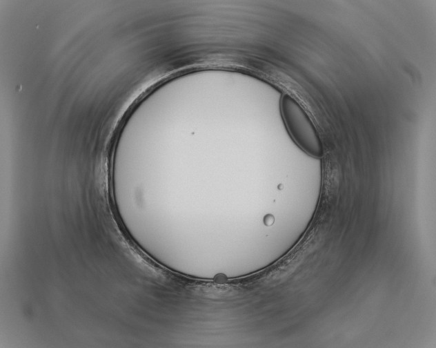 X0000113121092200909251107