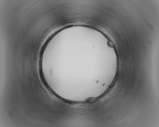 X0000113121093200909251107
