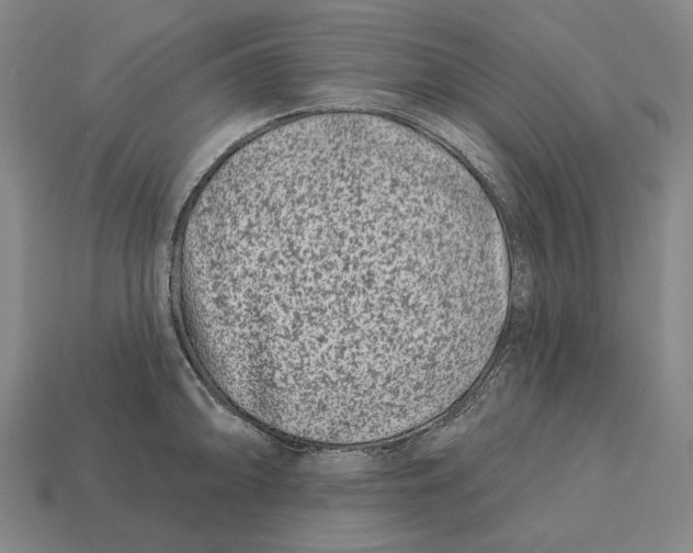 X0000113121094200909251107