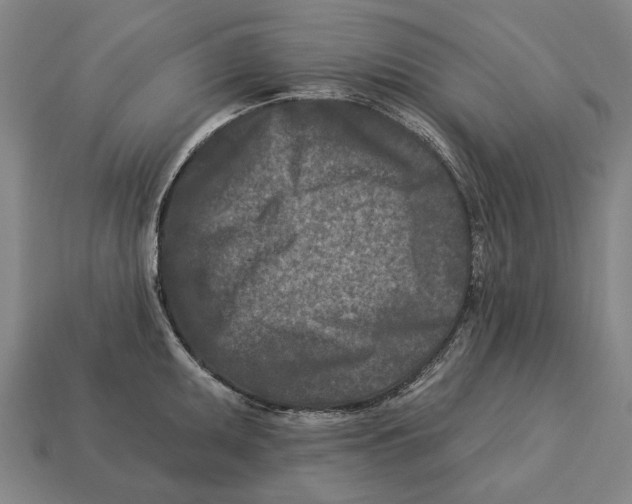X0000113121095200909251107