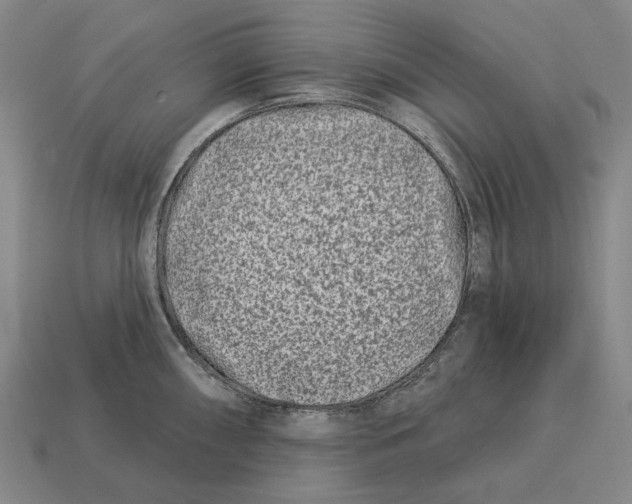 X0000113121098200909251107