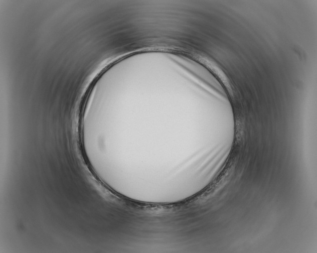 X0000113121099200909251107