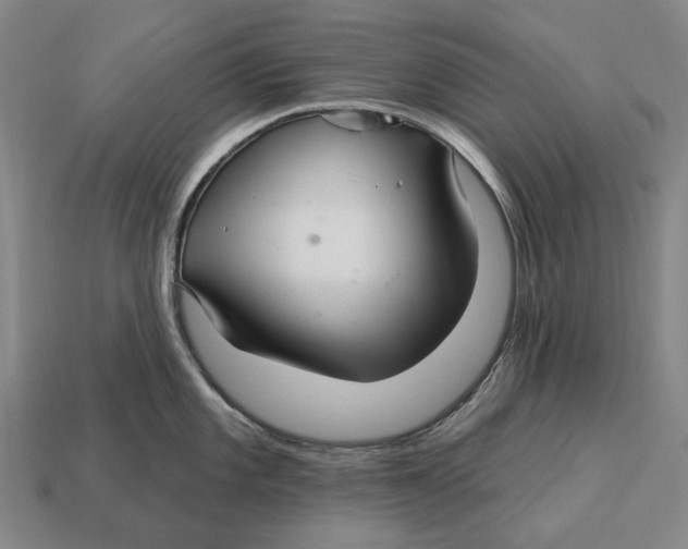 X0000113121101200909251107