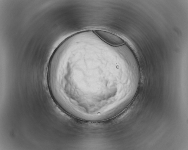 X0000113121102200909251107
