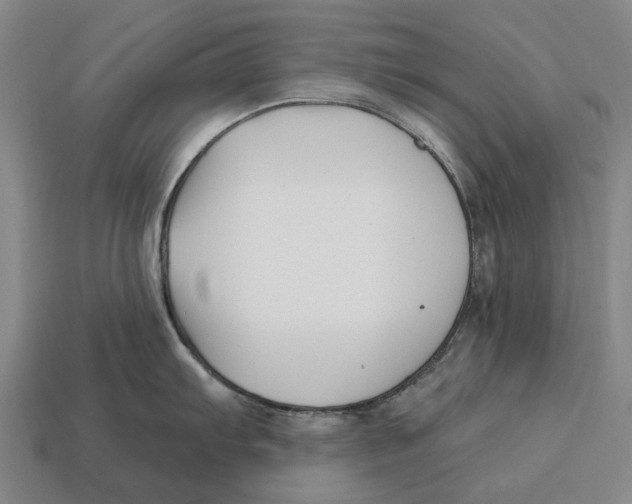 X0000113121103200909251107