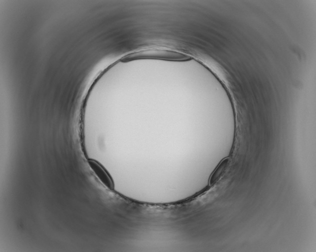 X0000113121104200909251107