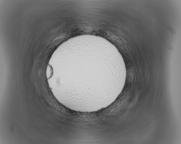 X0000113121105200909251107