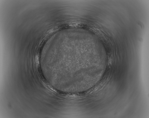 X0000113121106200909251107