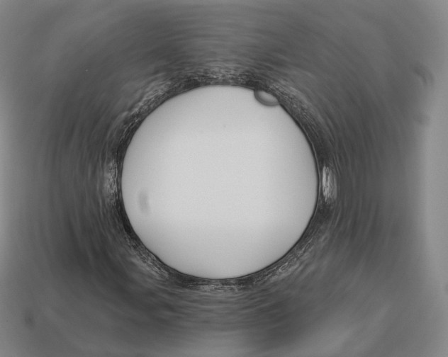 X0000113121107200909251107