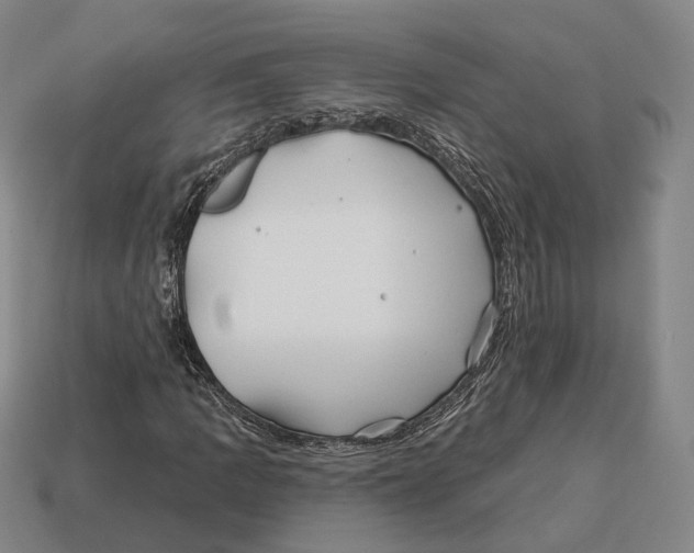 X0000113121109200909251107