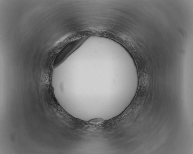 X0000113121110200909251107