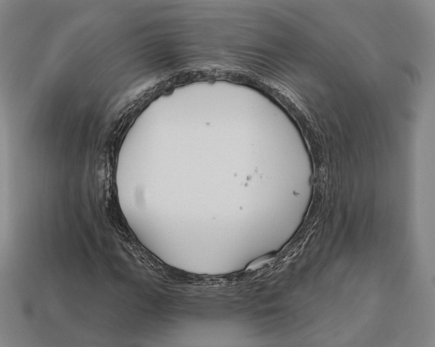 X0000113121111200909251107