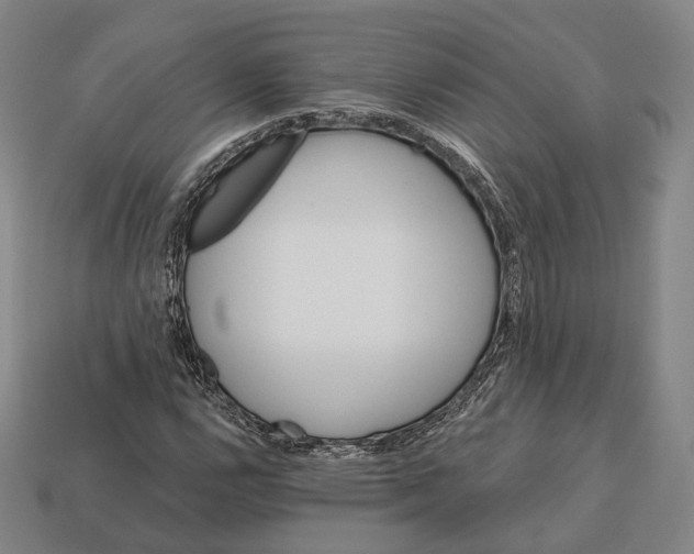 X0000113121112200909251107