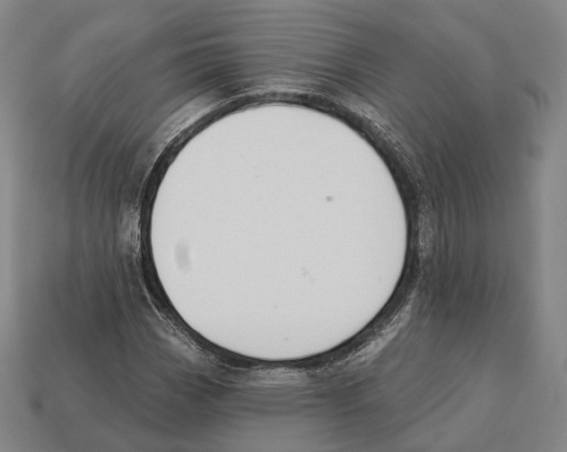 X0000113121113200909251107