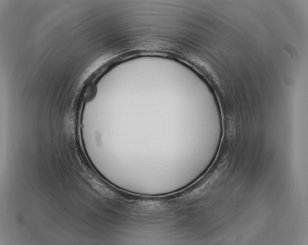 X0000113121114200909251107