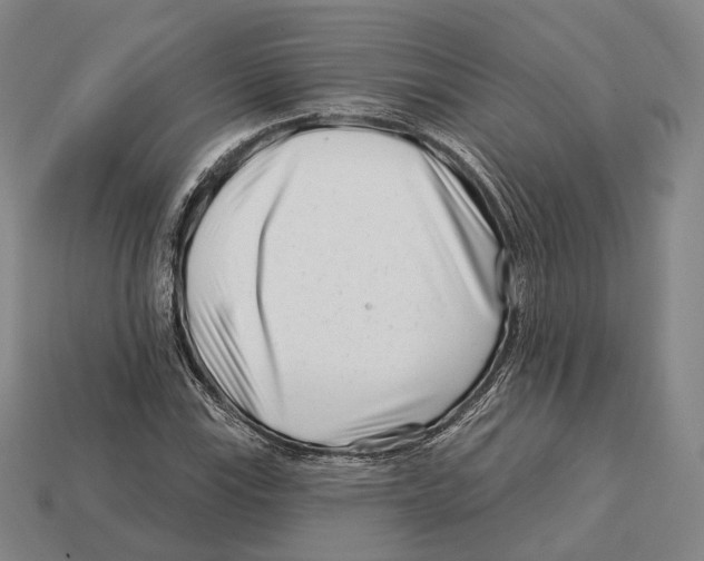 X0000113121115200909251107
